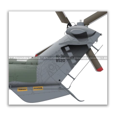 AIRBUS H-36 CARACAL, FAB 8519, 1º/8º GAV, ESQUADRÃO FALCÃO - (cópia) - Art In Profiles - Os melhores Posters de Aviação