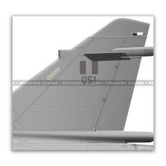 DASSAULT MIRAGE 2000P, FAP 051, GRUPO AÉREO Nº 4 - Art In Profiles - Os melhores Posters de Aviação