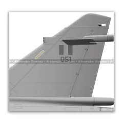 DASSAULT MIRAGE 2000P, FAP 051, GRUPO AÉREO Nº 4 - Art In Profiles - Os melhores Posters de Aviação