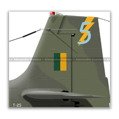 NEIVA T-25 UNIVERSAL, FAB 1930, 5º EMRA - Art In Profiles - Os melhores Posters de Aviação