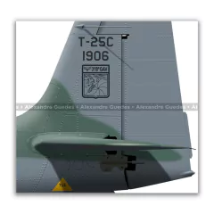 NEIVA T-25C UNIVERSAL, FAB 1906, 3º/8º GAV - Art In Profiles - Os melhores Posters de Aviação