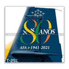 NEIVA T-25C UNIVERSAL, FAB 1908, AFA - Art In Profiles - Os melhores Posters de Aviação