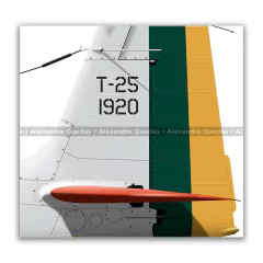 NEIVA T-25 UNIVERSAL, FAB 1920, GIA - Art In Profiles - Posters e Livros sobre Aviação