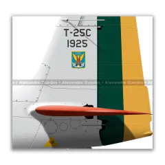 NEIVA T-25C UNIVERSAL, FAB 1925, AFA - Art In Profiles - Os melhores Posters de Aviação