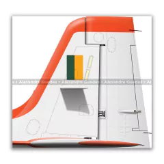 EMBRAER T-27 TUCANO, FAB 1377, AFA - Art In Profiles - Os melhores Posters de Aviação