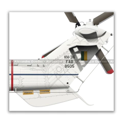 AIRBUS VH-36 CARACAL, FAB 8505, GTE - GRUPO DE TRANSPORTE ESPECIAL - Art In Profiles - Posters e Livros sobre Aviação