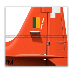EMBRAER T-27M TUCANO, FAB 1389, AFA - Art In Profiles - Os melhores Posters de Aviação