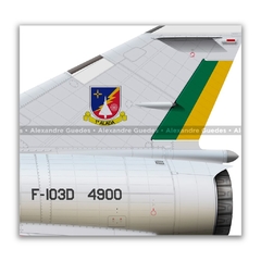 DASSAULT MIRAGE IIID BR/F-103D, FAB 4900, 1ª ALADA - Art In Profiles - Os melhores Posters de Aviação