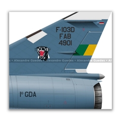 DASSAULT MIRAGE IIID BR/F-103D, FAB 4901, 1º GDA - Art In Profiles - Os melhores Posters de Aviação