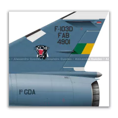 DASSAULT MIRAGE IIID BR/F-103D, FAB 4901, 1º GDA - Art In Profiles - Os melhores Posters de Aviação