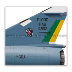 DASSAULT MIRAGE IIID BRF-103D, FAB 4903, 1º GDA - Art In Profiles - Posters e Livros sobre Aviação