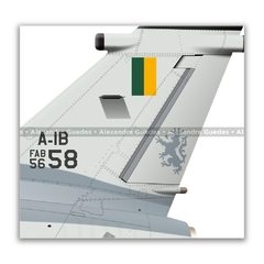 AMX INTERNACIONAL A-1B, FAB 5658, 1º/10º GAV - Art In Profiles - Os melhores Posters de Aviação