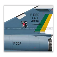 DASSAULT MIRAGE IIID/BRF-103D, FAB 4904, 1º GDA - Art In Profiles - Os melhores Posters de Aviação