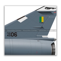DASSAULT MIRAGE IIID BR/F-103D, FAB 4906, 1º GDA - Art In Profiles - Os melhores Posters de Aviação