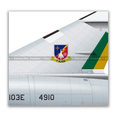 DASSAULT MIRAGE IIIE BR/F-103E, FAB 4910, 1ª ALADA - Art In Profiles - Os melhores Posters de Aviação