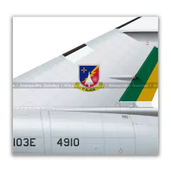 DASSAULT MIRAGE IIIE BR/F-103E FAB 4910, 1ª ALADA - Art In Profiles - Os melhores Posters de Aviação