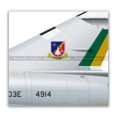DASSAULT MIRAGE IIIE BR/F-103E FAB 4914, 1ª ALADA - Art In Profiles - Os melhores Posters de Aviação