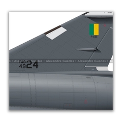 DASSAULT MIRAGE IIIE BR/F-103E FAB 4924, 1º GDA - Art In Profiles - Os melhores Posters de Aviação