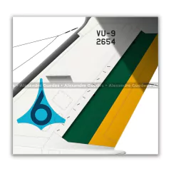 EMBRAER EMB-121 / VU-9, FAB 2654, 6º ETA - Art In Profiles - Os melhores Posters de Aviação