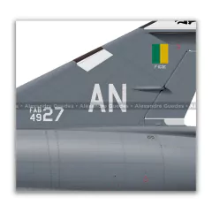 DASSAULT MIRAGE IIIE BR/F-103E FAB 4927, 1º GDA - Art In Profiles - Os melhores Posters de Aviação