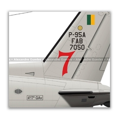 EMBRAER P-95A BANDEIRULHA, FAB 7050, 4º/7º GAV - Art In Profiles - Os melhores Posters de Aviação