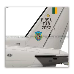 EMBRAER P-95A BANDEIRULHA, FAB 7057, 1º GAE - Art In Profiles - Os melhores Posters de Aviação