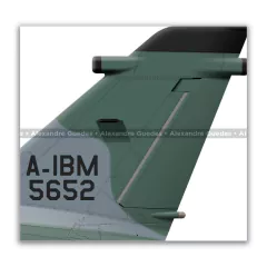AMX INTERNACIONAL A-1BM, FAB 5652, 3º/10º GAV - Art In Profiles - Os melhores Posters de Aviação