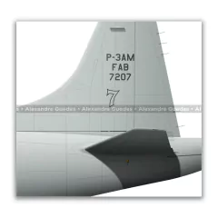 LOCKHEED P-3AM ORION, FAB 7207, 1º/7º GAV - Art In Profiles - Posters e Livros sobre Aviação