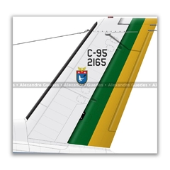 EMBRAER C-95 BANDEIRANTE, FAB 2165, ESQ TUBARÃO - Art In Profiles - Os melhores Posters de Aviação