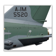 AMX INTERNACIONAL A-1M, FAB 5520, 1º/16º GAV - Art In Profiles - Os melhores Posters de Aviação