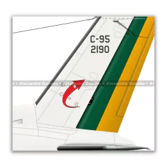 EMBRAER C-95 BANDEIRANTE, FAB 2190, 1º/5º GAV - Art In Profiles - Os melhores Posters de Aviação
