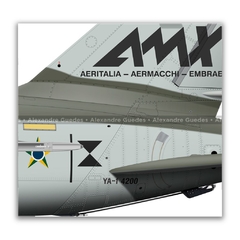 AMX INTERNACIONAL YA-1 4200 - PROTÓTIPO - Art In Profiles - Os melhores Posters de Aviação