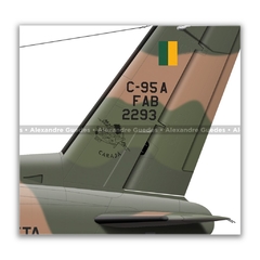 EMBRAER C-95A BANDEIRANTE, FAB 2293, 4º ETA - Art In Profiles - Os melhores Posters de Aviação