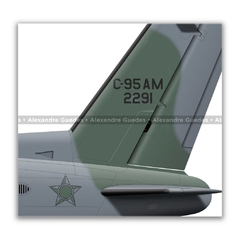 EMBRAER C-95AM BANDEIRANTE, FAB 2291, EEAR - Art In Profiles - Os melhores Posters de Aviação
