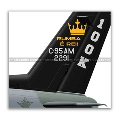 EMBRAER C-95AM BANDEIRANTE, FAB 2291, 1º/5º GAV - Art In Profiles - Os melhores Posters de Aviação
