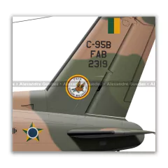 EMBRAER C-95B BANDEIRANTE, FAB 2319, 1º ETA - Art In Profiles - Os melhores Posters de Aviação