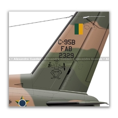 EMBRAER C-95B BANDEIRANTE, FAB 2329, PAMA SP - Art In Profiles - Os melhores Posters de Aviação
