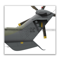 AEROSPATIALE CH-34 SUPER PUMA, FAB 8730, 3º/8º GAV - Art In Profiles - Os melhores Posters de Aviação