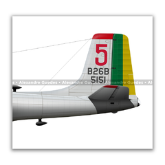 Douglas A-26B, FAB 5151, 5º GAV, BANT. - Art In Profiles - Os melhores Posters de Aviação