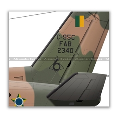 EMBRAER C-95C BANDEIRANTE, FAB 2340, 6º ETA - Art In Profiles - Os melhores Posters de Aviação