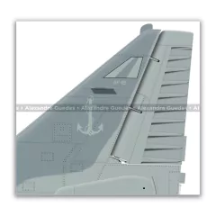 McDONNELL DOUGLAS AF-1B SKYHAWK II, N-1004 - Art In Profiles - Os melhores Posters de Aviação