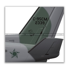 EMBRAER C-95CM BANDEIRANTE, FAB 2339, 2º ETA - Art In Profiles - Os melhores Posters de Aviação