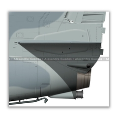 McDONNELL DOUGLAS AF-1B SKYHAWK II, N-1008 - Art In Profiles - Os melhores Posters de Aviação