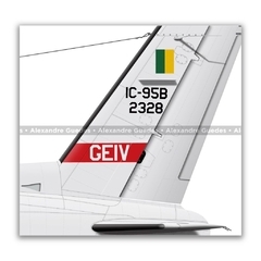 EMBRAER IC-95B BANDEIRANTE, FAB 2328, GEIV - Art In Profiles - Os melhores Posters de Aviação