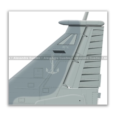 McDONNELL DOUGLAS AF-1C SKYHAWK II, N-1021 - Art In Profiles - Os melhores Posters de Aviação