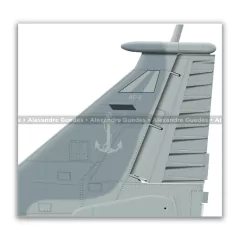 McDONNELL DOUGLAS AF-1C SKYHAWK II, N-1021 - Art In Profiles - Os melhores Posters de Aviação