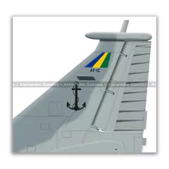 McDONNELL DOUGLAS AF-1C SKYHAWK II, N-1022 - Art In Profiles - Os melhores Posters de Aviação
