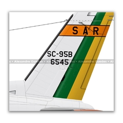 EMBRAER SC-95B BANDEIRANTE, FAB 6545, 2º/10º GAV - Art In Profiles - Os melhores Posters de Aviação