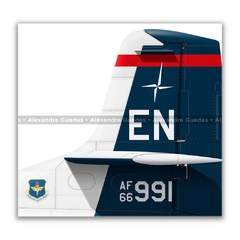 CESSNA T-37B TWEET, USAF 66-991 - Art In Profiles - Os melhores Posters de Aviação