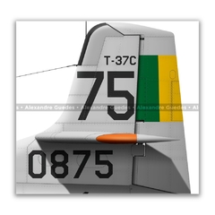 CESSNA T-37C, FAB 0875 - Art In Profiles - Os melhores Posters de Aviação